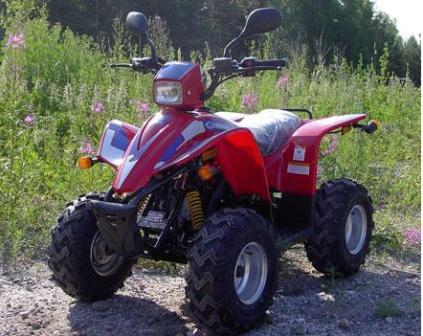 Квадроцикл 50сс детский  POLAR FOX  ATV50